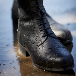 Ariat Women’s Heritage Contour II Waterproof Insulated Tall Riding Boot -Clothing Store go 517384 g