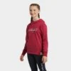Ariat Kids’ 3D Logo Hoodie